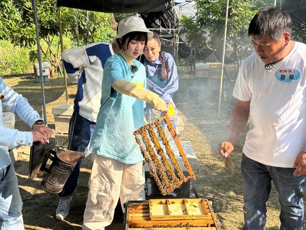 ▲籃籃幫忙採收蜂蜜。（圖／民視提供）