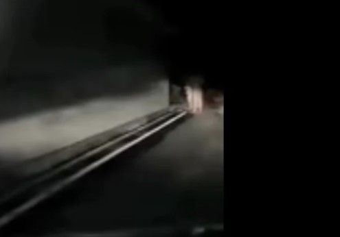 ▲▼馬來西亞一名司機在夜間行駛時，驚見路邊躺著一對裸體的男女。（圖／翻攝自X）
