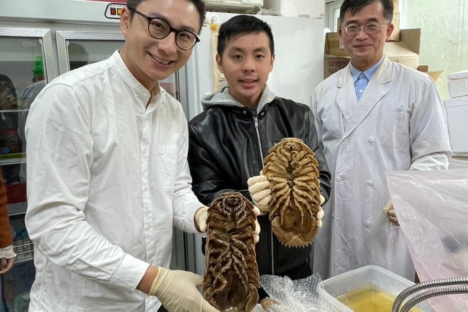 8156533 ▲▼南大命名物種西沙深水虱!台灣新發現。(圖/台南大學)