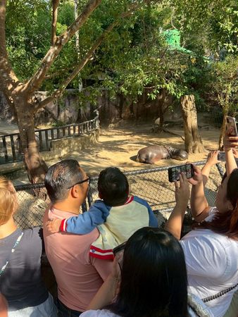 d8243919 罹患癌症末期的小男孩「小奧拓」在生命最後時光中實現了他的最大心願,親眼見到他最喜愛的動物「彈跳豬」。(翻攝自ขาหมู แอนด์เดอะแก๊ง)