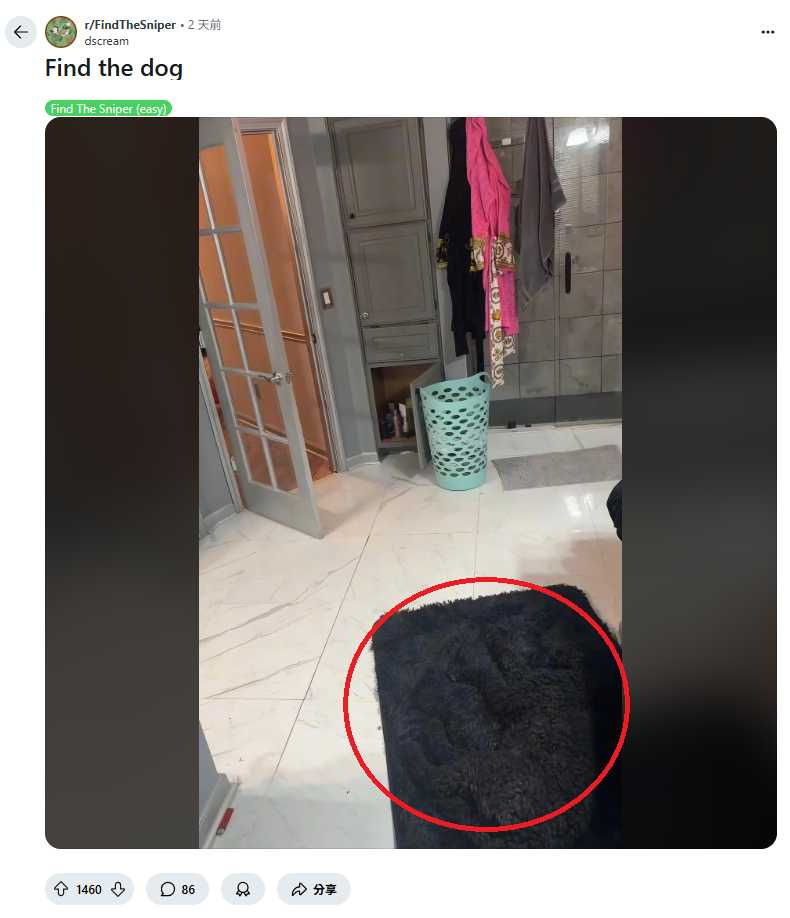 7秒內找出隱藏的狗才算高手！網路瘋傳視覺挑戰　難度讓不少網友直呼「太難了」