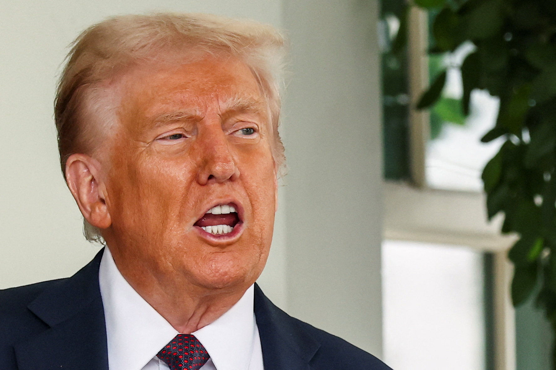 8424028 ▲▼美國總統川普(Donald Trump)。(圖/路透)