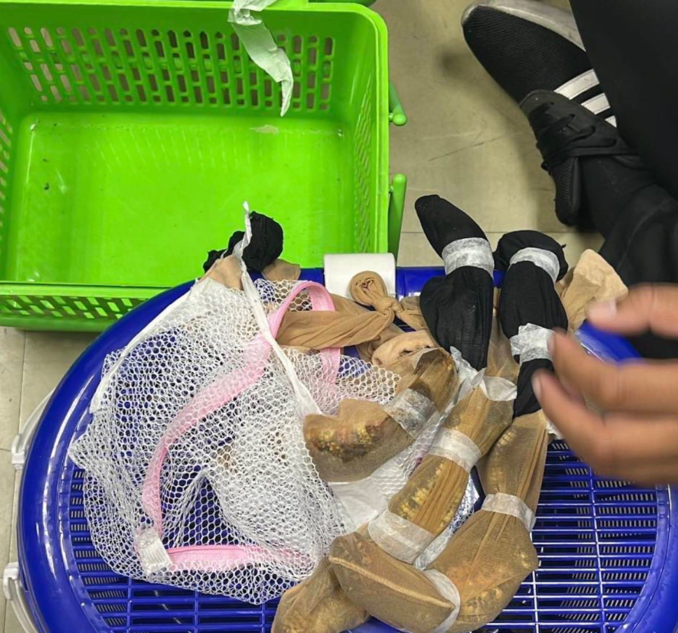8451366-1 ▲▼3台男泰機場被捕!「52珍稀動物」用絲襪綁身上 走私價碼曝。(圖/ตำรวจสอบสวนกลาง)