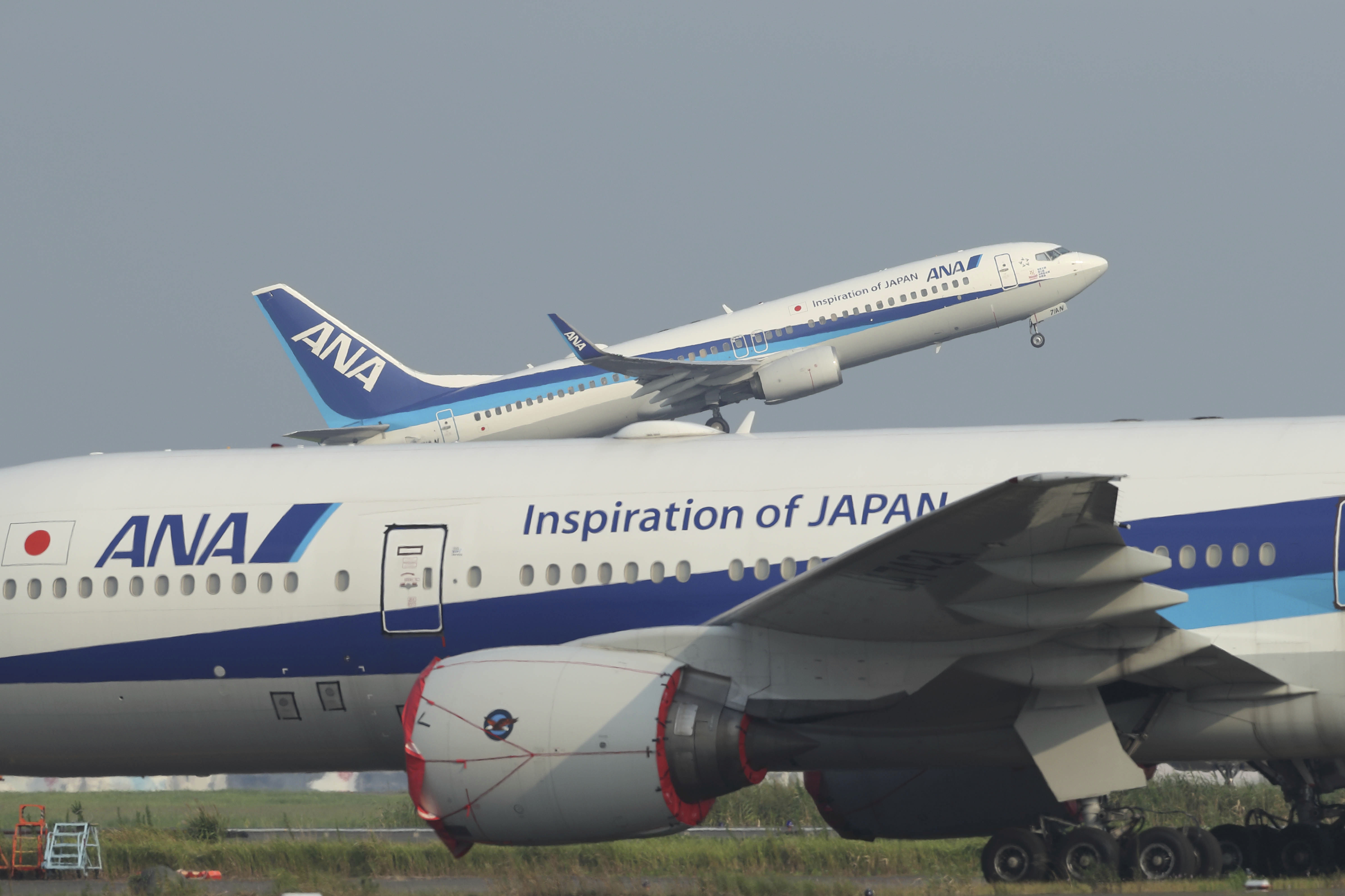 6939557 ▲全日空,ANA。(圖/達志影像/美聯社)