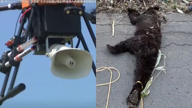 8478100 ▲▼日本岐阜縣決定效法北海道,透過無人機播放犬吠和爆竹聲來驅趕熊。(圖/翻攝自YouTube)