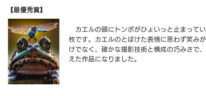 8485496 ▲▼日攝影大賽首獎「竟是免費AI圖」! 還在美術館展出。(圖/翻攝X)