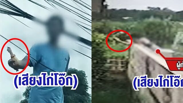 ▲▼尖叫雞地獄！鄰居每天狂按「噪音轟炸」　她被吵10年崩潰求救。（圖／翻攝YouTube）