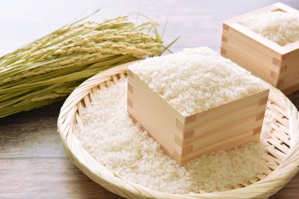 稻農建議可用寶特瓶保存白米冰存在冰箱，能避免長米蟲。（示意圖，photoAC）