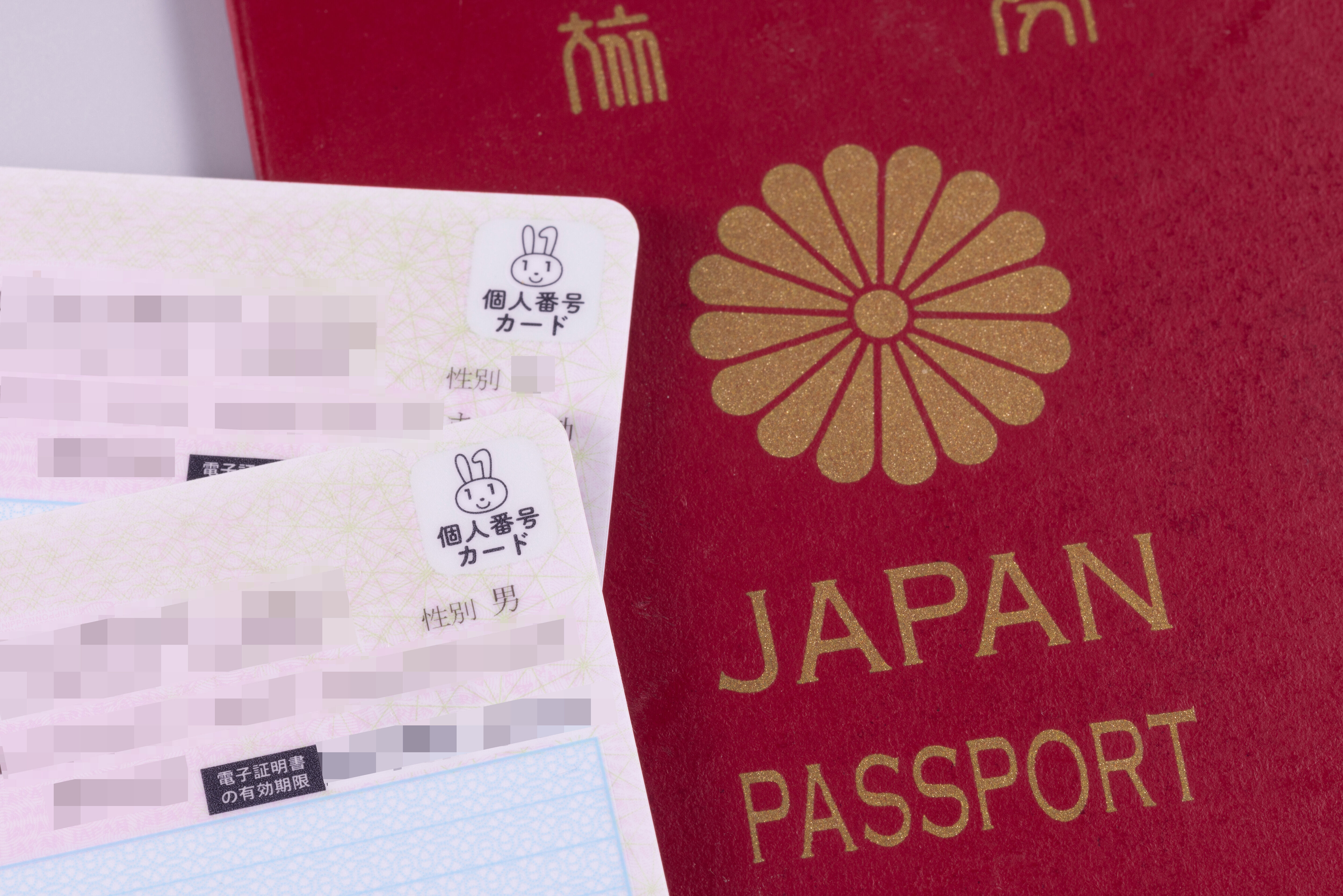8555921 ▲▼日本護照。(圖/達志影像)