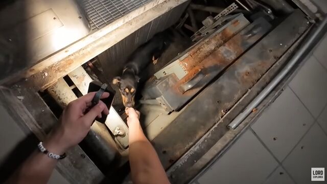▲▼廢棄商場探險「聽見詭異低吼聲」　YTer循聲找到結局竟然超溫馨。（圖／翻攝YouTube）