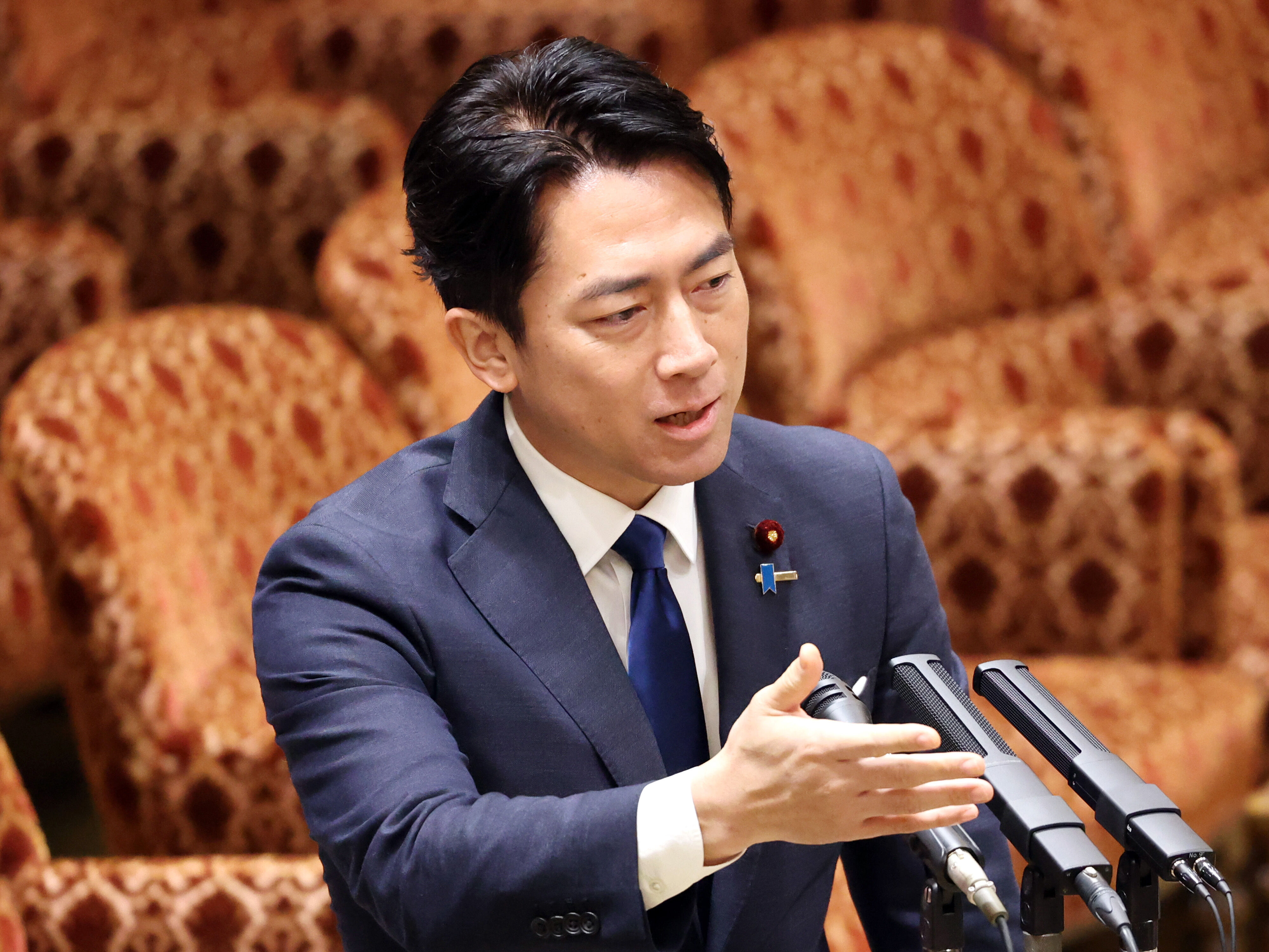 8573605-1 ▲▼日本防衛大臣小泉進次郎。(圖/達志影像)
