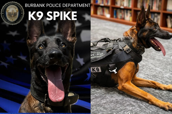 d8572670 英勇警犬追捕逃犯「被連開多槍射殺」 最後任務震撼畫面曝。(圖/翻攝自Burbankpolice)