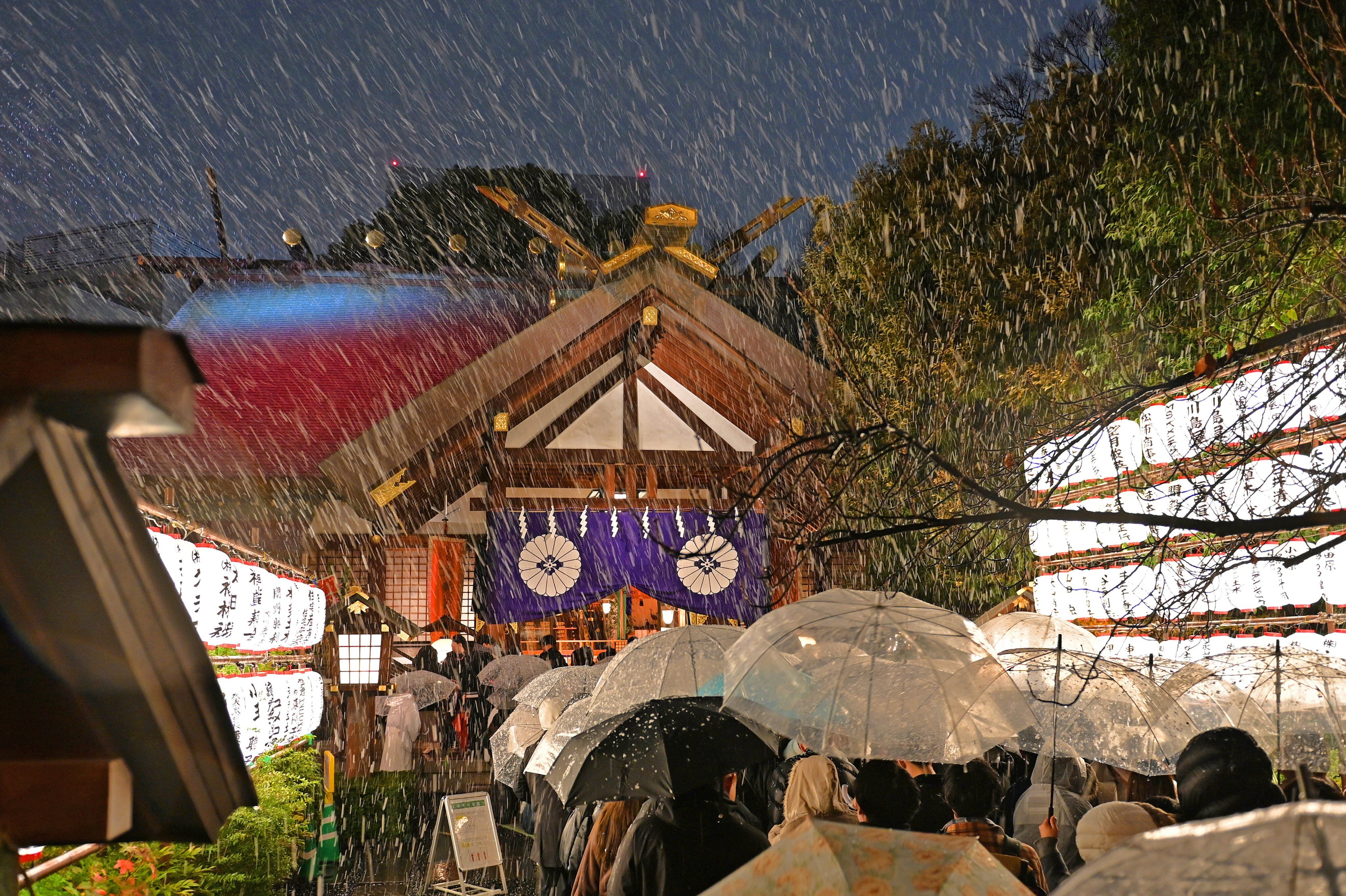 8564510 ▲▼東京降下初雪!。(圖/東京大神宮)