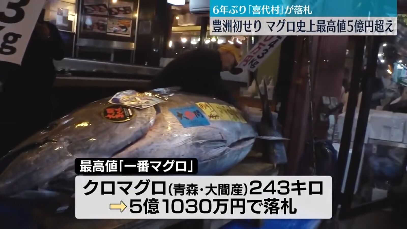 8567057 東京豐洲市場「第一鮪魚」5.1億日圓天價成交 社長笑:要拚命工作了