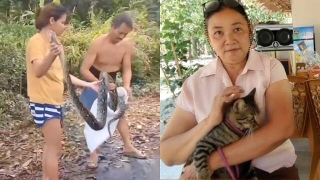 8600096-1 ▲▼巨蟒緊纏愛貓!她不顧5月孕肚「徒手一圈圈掰開」 奇蹟搶救活過來。(圖/翻攝臉書ข่าวเด็ดท้องถิ่น นครนายก)