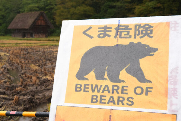 d8492020 ▲日本今年熊害頻繁,岐阜縣白川鄉合掌村豎立「熊隻出沒」的警告招牌。(圖/達志影像/美聯社)