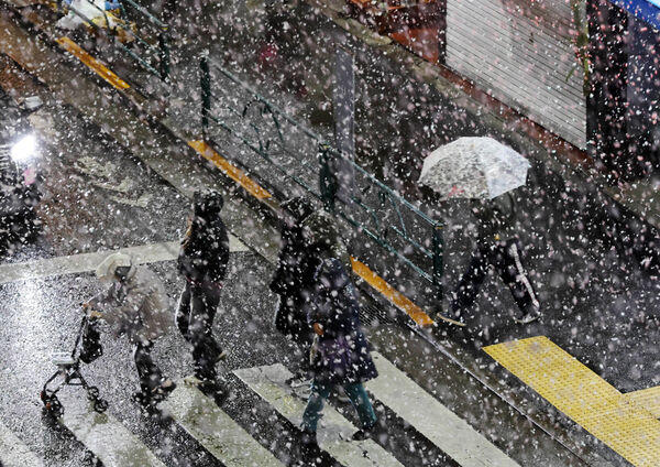 d8564460 ▲▼日本東京下雪。(圖/達志影像/美聯社)