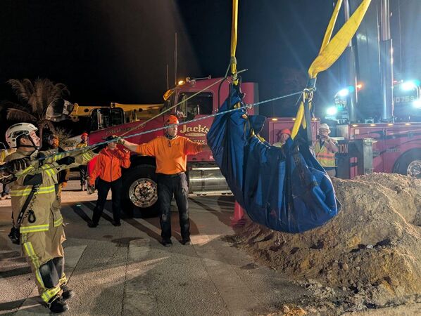 d8623892-1 救援團隊出動吊車,成功將海牛救出。(翻攝Brevard County Fire Rescue)