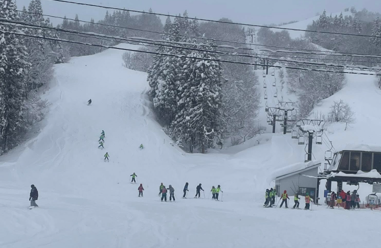 8608454 ▲▼八海山滑雪場。(圖/取自八海山麓スキー場)