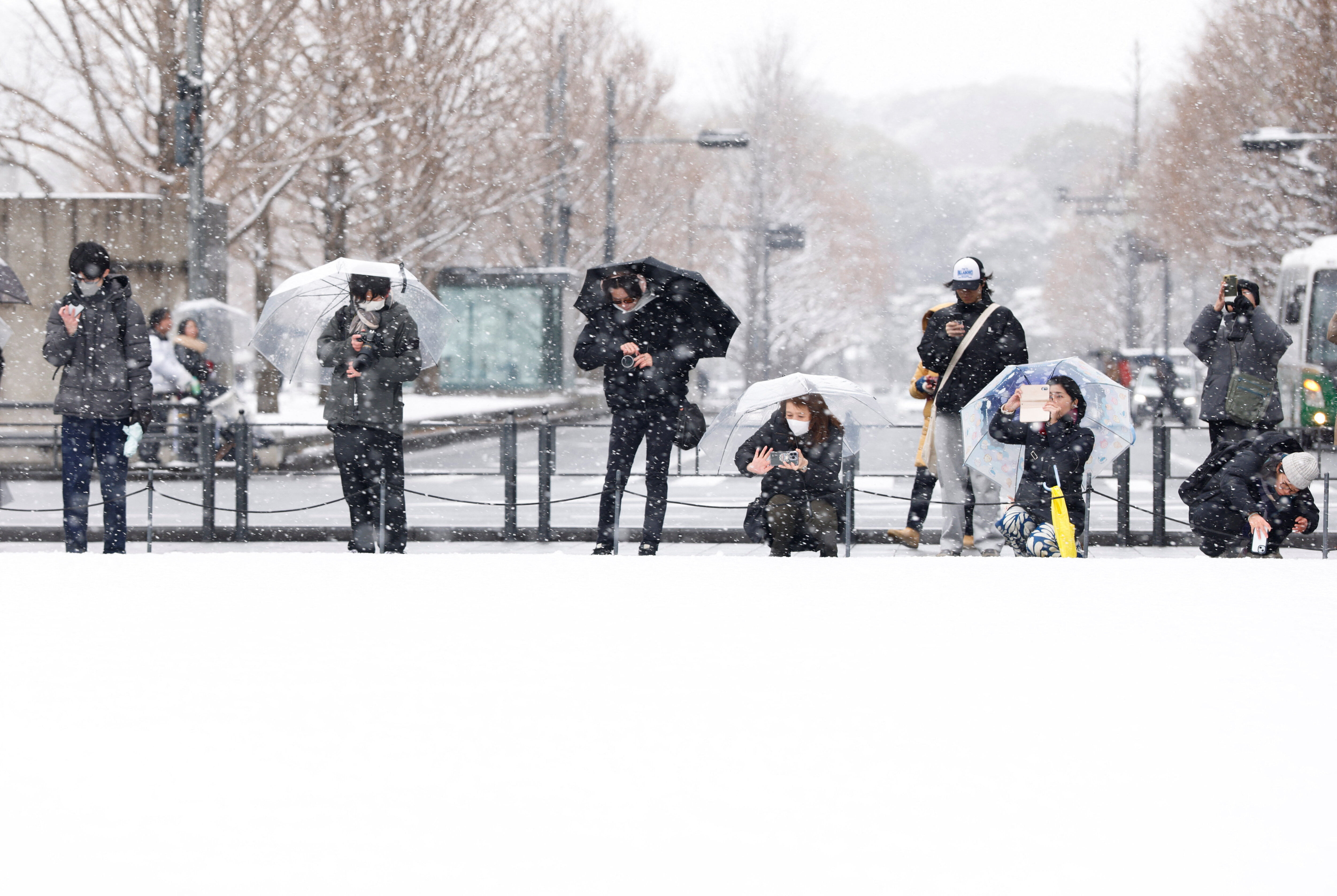 ▲▼日本各地降下警報級大雪,日本暴雪。（圖／路透）