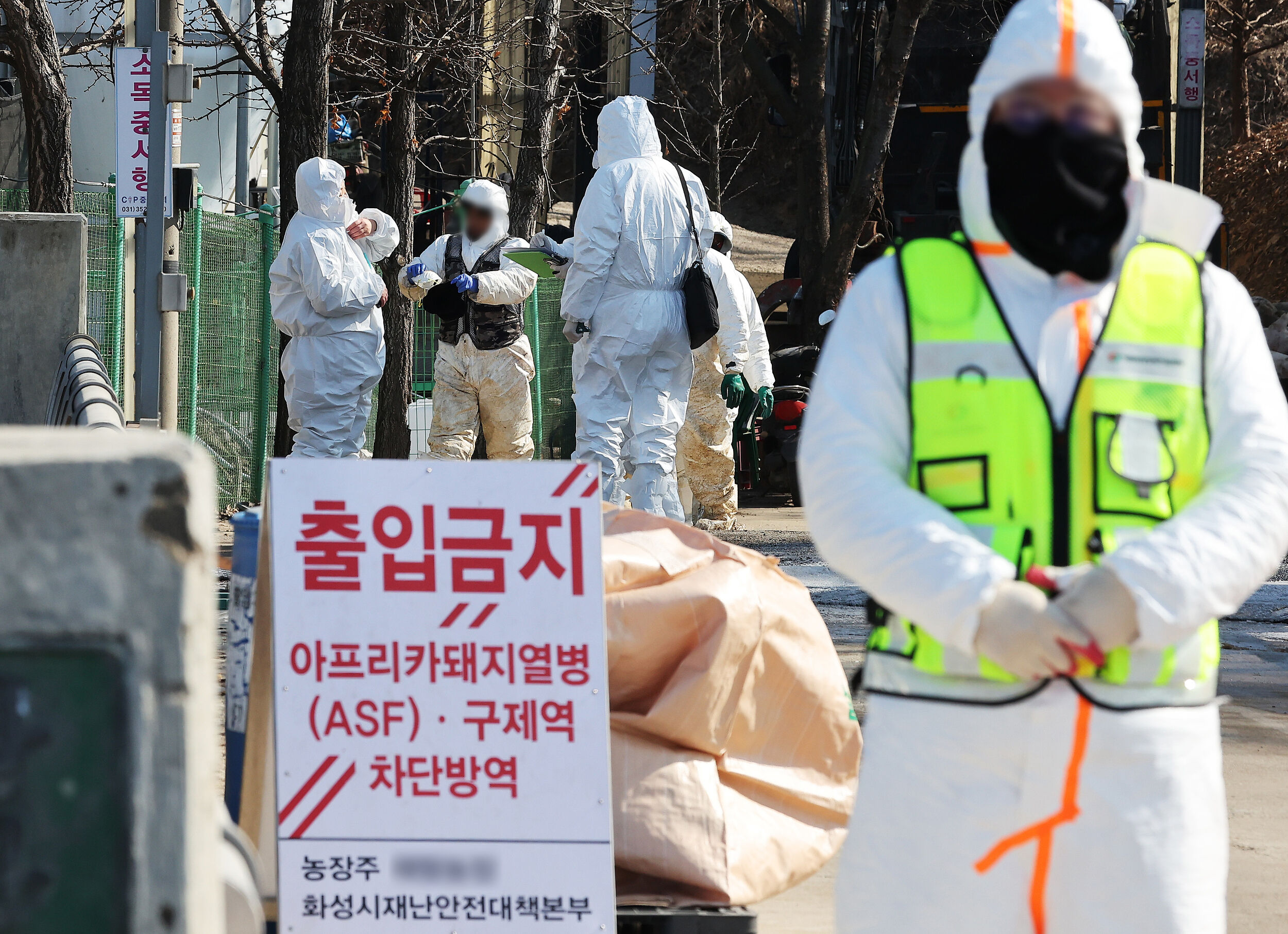 ▲▼南韓京畿道華城市養豬場爆發非洲豬瘟疫情，防疫當局管控進出。（圖／VCG）