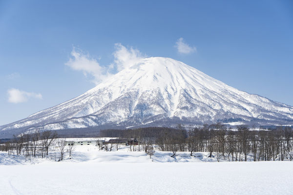 d7527841-1 ▲▼日本北海道3日接連發生2起奪命雪崩。(示意圖/CFP)