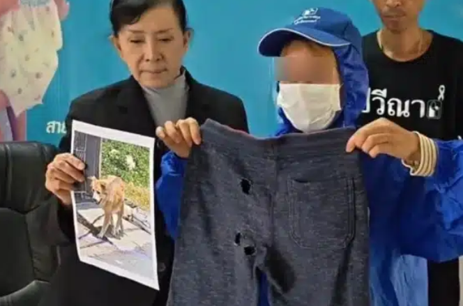 ▲▼睪丸撕裂！泰9歲童遭惡犬「咬穿下體」　鮮血浸濕褲子。（圖／翻攝自The Thaiger）