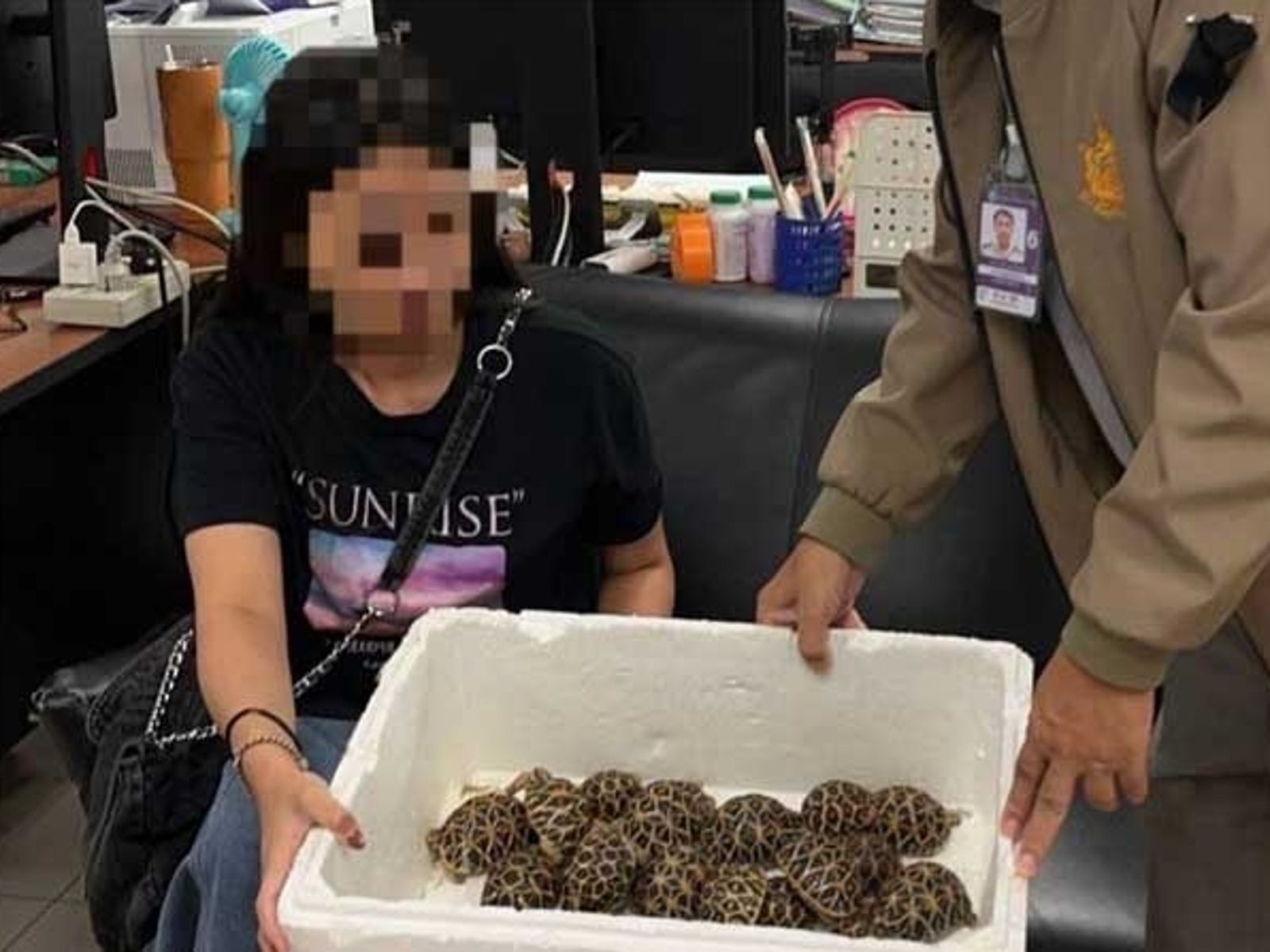8721943-1 全身纏繞「30隻印度星龜」 19歲台女走私行跡詭異!泰國機場闖關被逮