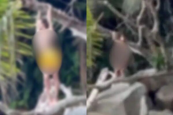 ▲▼辣妹「海邊上空照」曝光！泰網友暴怒。（圖／翻攝自Facebook／Phuket Times ภูเก็ตไทม์）