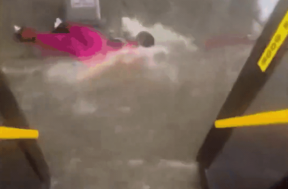 d8752689 一名身穿亮粉色衣服的女子在試圖逃離公車時,腳步才剛踏出,就被車外強勁無比的激流瞬間沖倒並捲走。(翻攝自@nexta_tv)
