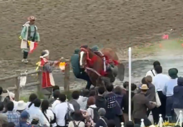 d8756117-1 ▲▼日本千年祭典爆意外! 賽馬甩落騎手「暴衝撞觀眾席」釀6傷。(圖/翻攝自X)
